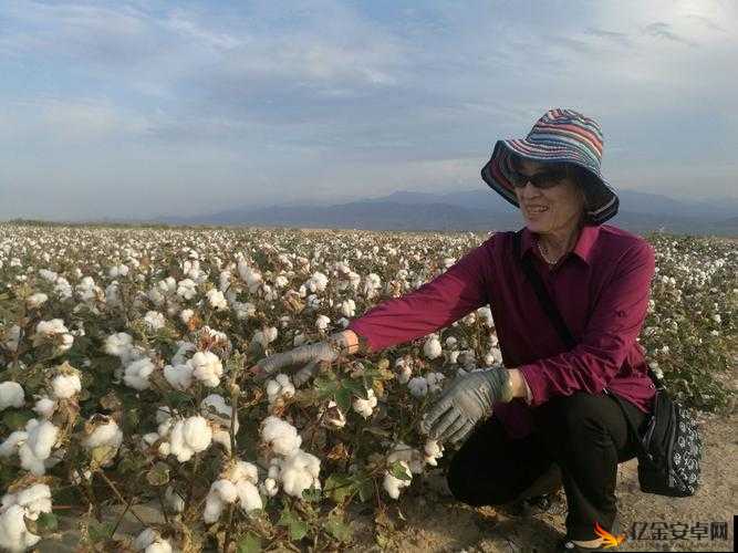 父母儿女四人大联欢免费观看：阖家欢乐共度温馨时光